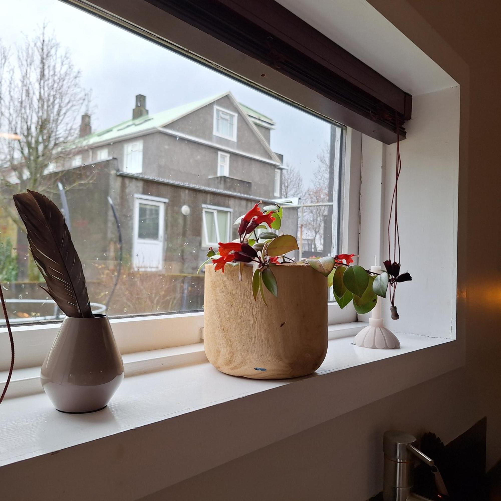 Central Reykjavik - Garden Cottage Екстериор снимка